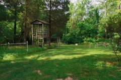 IMG_20250613_094925_00_merged-Medium