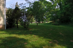 IMG_20250613_095009_00_merged-Medium