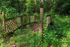 IMG_20250613_095216_00_merged-Medium