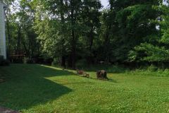 IMG_20250613_095341_00_merged-Medium