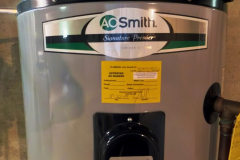 IMG_20250613_101948_00_merged-Medium