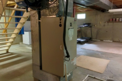 IMG_20250613_102009_00_merged-Medium