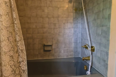 IMG_20250613_103008_00_merged-Medium