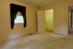 IMG_20250613_103106_00_merged-Medium