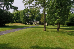 IMG_20250613_095548_00_merged-Medium