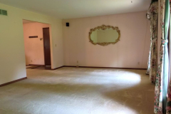 IMG_20250613_102226_00_merged-Medium