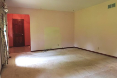 IMG_20250613_102249_00_merged-Medium