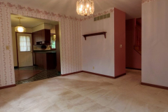 IMG_20250613_102756_00_merged-Medium