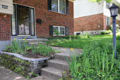 front-garden-2-Medium